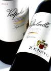 Zenato - Valpolicella Superiore 2019 (750ml) (750ml)